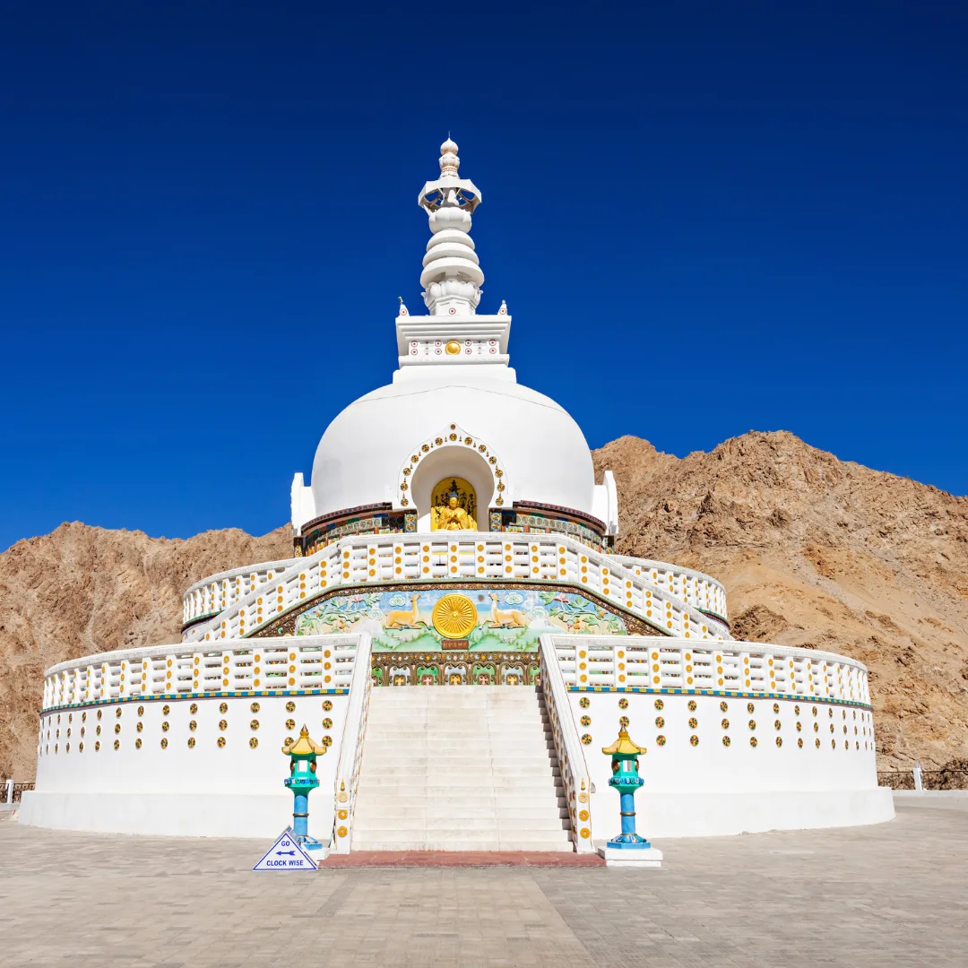 Arrival in Leh + Acclimatization