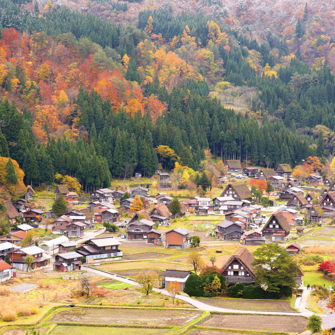Best Safe Destinations in Asia for Solo Women Travelers | Wovoyage