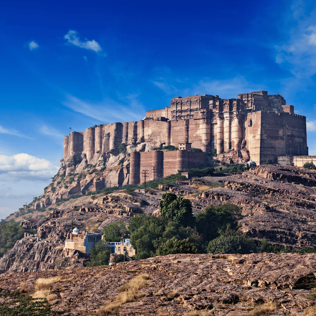 Udaipur to Jodhpur (Blue City)