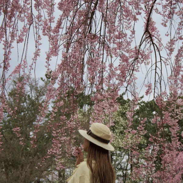 Why Women Are the Future of Travel | Wovoyage