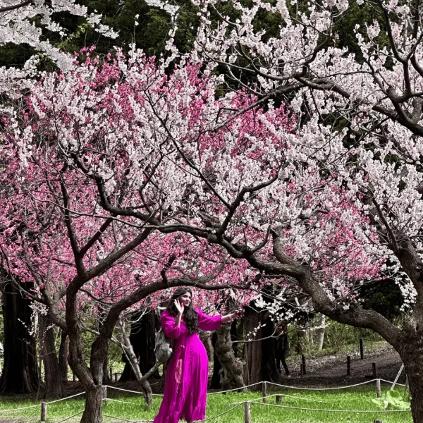7 Reasons Women Should Visit Japan During Cherry Blossom Season