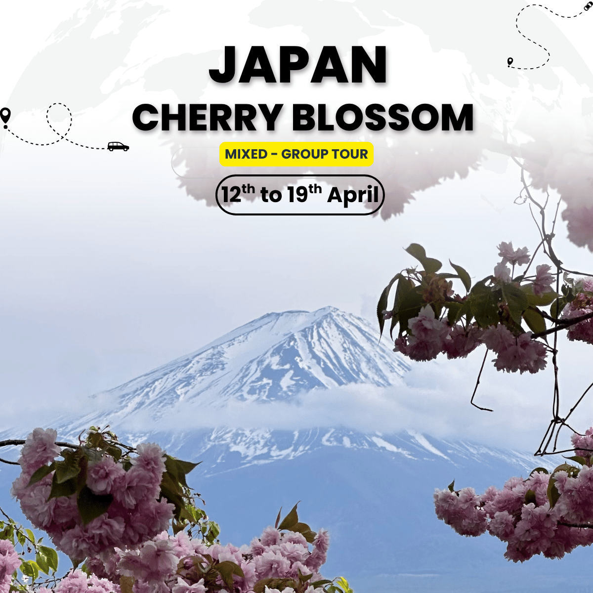 Japan Cherry Blossom Mixed-Group Tour | Tokyo, Kyoto & Mt. Fuji Experience