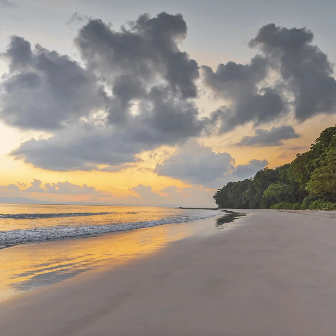 Why Andaman Is the Perfect Island Getaway for Women in 2025