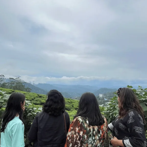 Top 7 Things to Do in Kerala for Women Who Love Nature