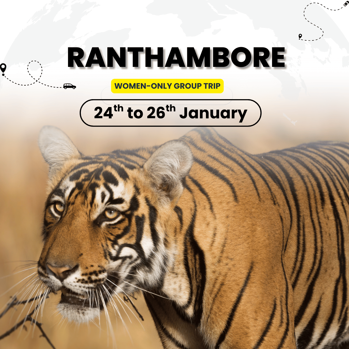Ranthambore Women-Only Tour | Tiger Safari & Fort Exploration