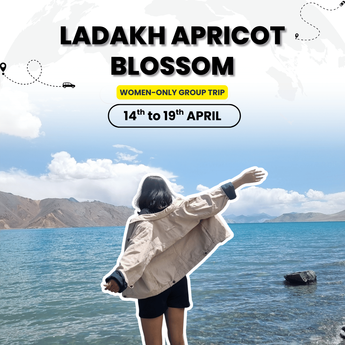 Ladakh Women-Only Blossom Trail | Leh Aryan Valley Pangong