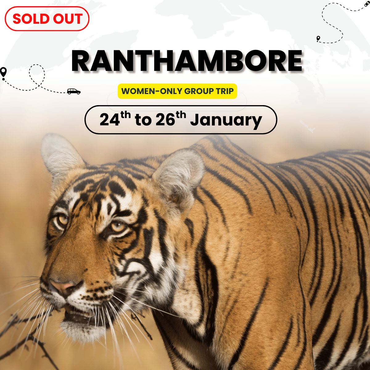 Ranthambore Women-Only Tour | Tiger Safari & Fort Exploration