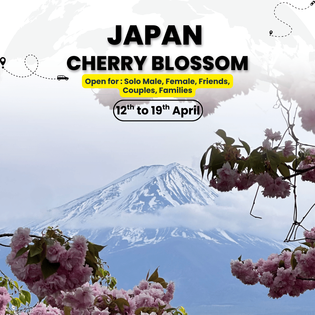 Japan Cherry Blossom Mixed-Group Tour | Tokyo, Kyoto & Mt. Fuji Experience