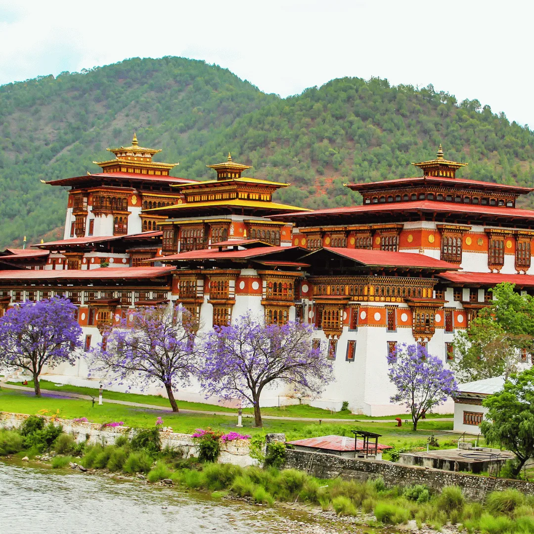 Thimphu to Punakha via Dochula Pass to Thimphu