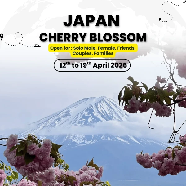 Japan Cherry Blossom Mixed-Group Tour | Tokyo, Kyoto & Mt. Fuji Experience