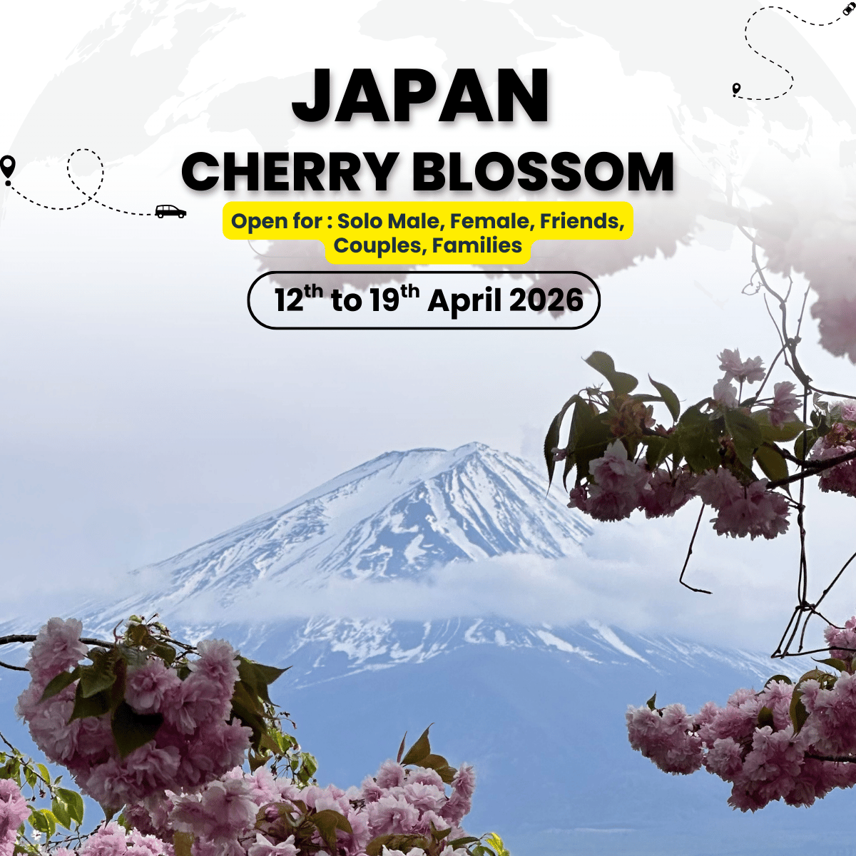 Japan Cherry Blossom Mixed-Group Tour | Tokyo, Kyoto & Mt. Fuji Experience