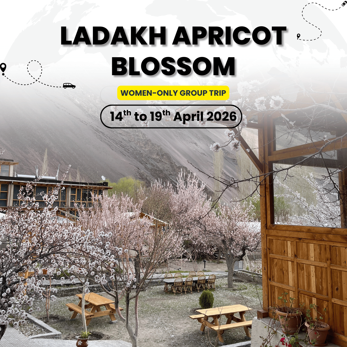 Ladakh Women-Only Blossom Trail | Leh Aryan Valley Pangong