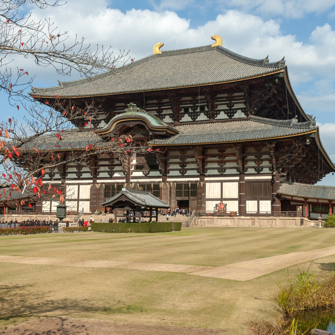 Transfer to Kyoto via Shinkansen and Nara Deer Park