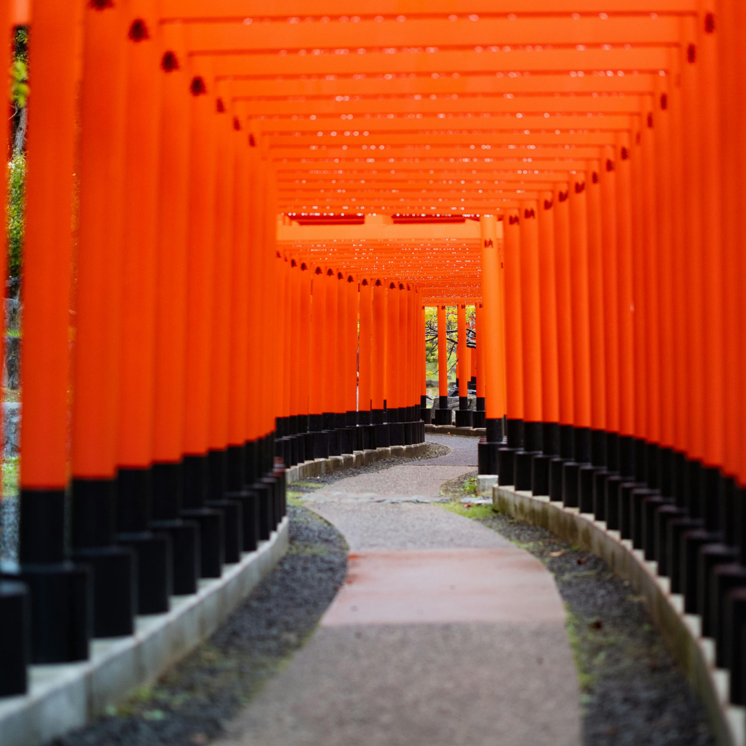 Full Day Kyoto Day (Private Tour)