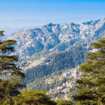 Delhi to Shimla (Overnight Journey)
