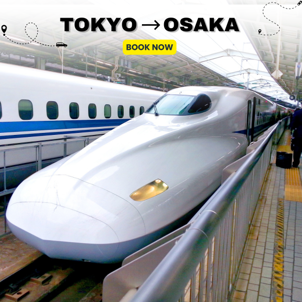 Tokyo to Osaka train Ticket