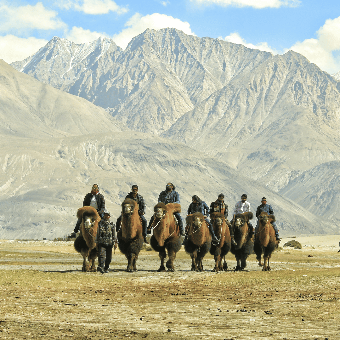 Leh to Nubra Valley via Khardung La