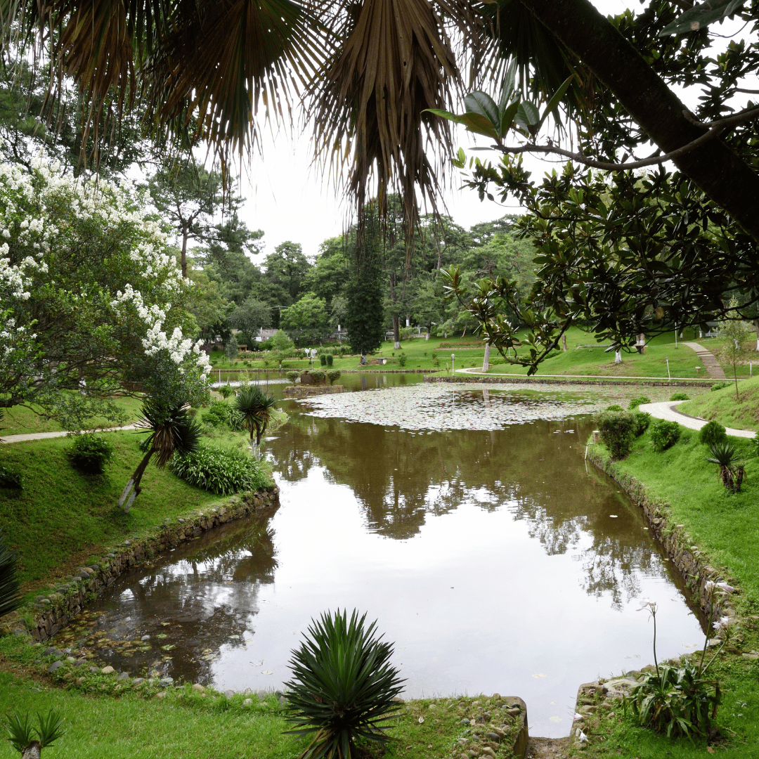 Shillong sightseeings and drive to Guwahati