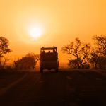 Arrival + Night Safari