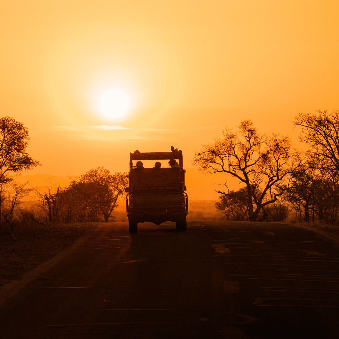 Arrival + Night Safari