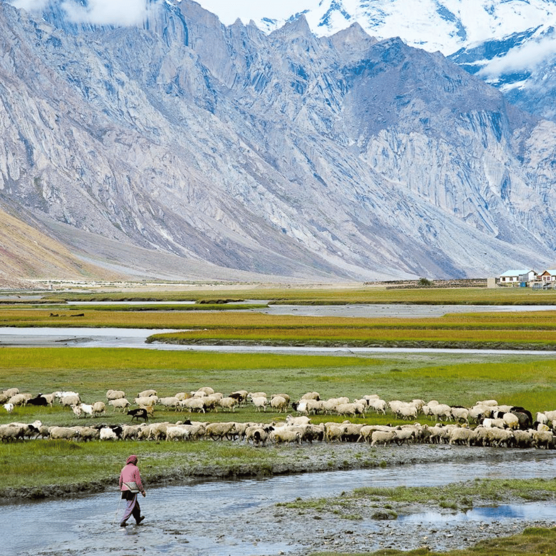 Suru Valley Excursion