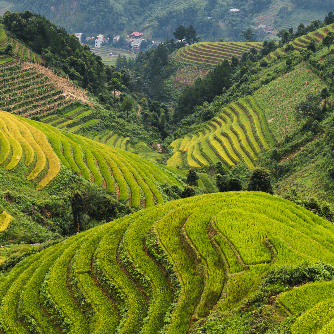 Fly to Hanoi & transfer to Sapa