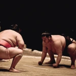 Transfer to Osaka | Visit Dotonbori Street (Optional activities- Sumo Wrestling & Go-karting)