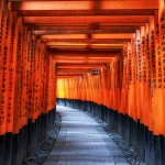 Full Day Kyoto Day Tour