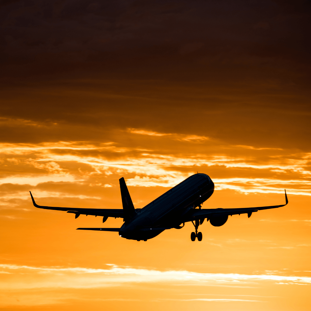 Transfer from St Petersburg to Moscow (by train) and drop-off at airport by 12 pm.