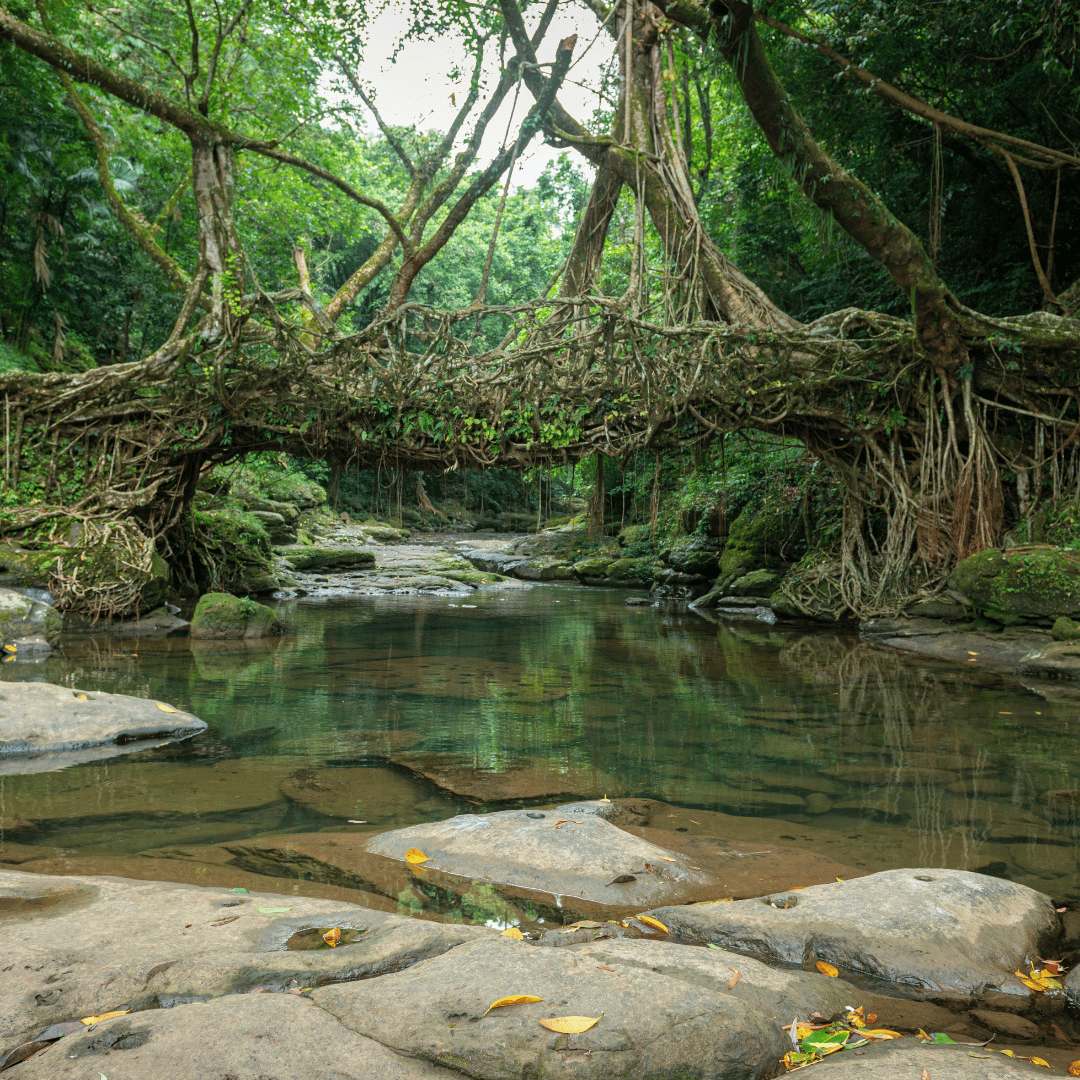 Shillong – Mawlynnong – Dawki – Cherrapunjee
