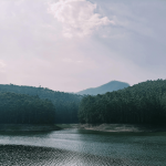 Munnar Sightseeing