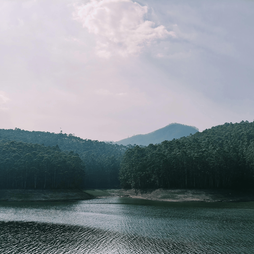 Munnar Sightseeing