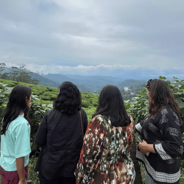 Kerala Tour: Kochi, Munnar, Thekkady, Alleppey & Varkala